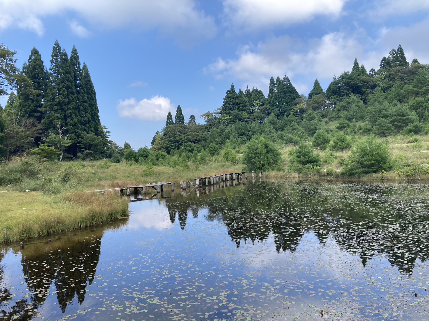 岩を登る様子