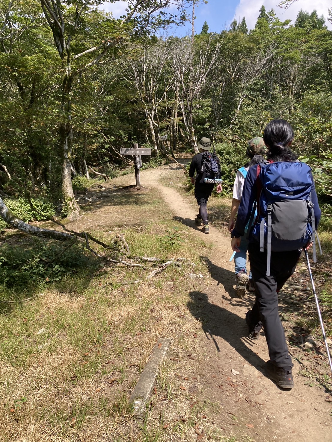 登山道の様子