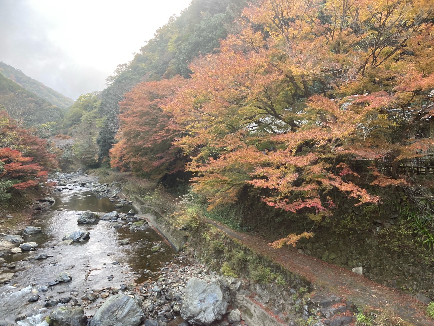 登山道の様子