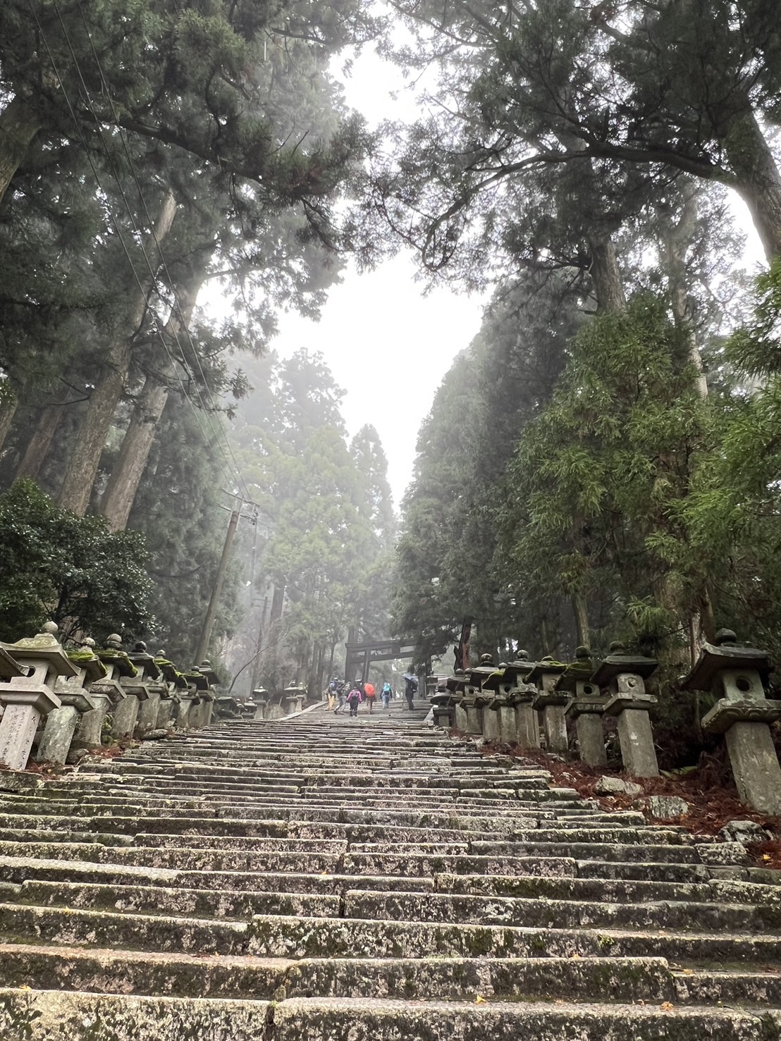 自然の中を歩く