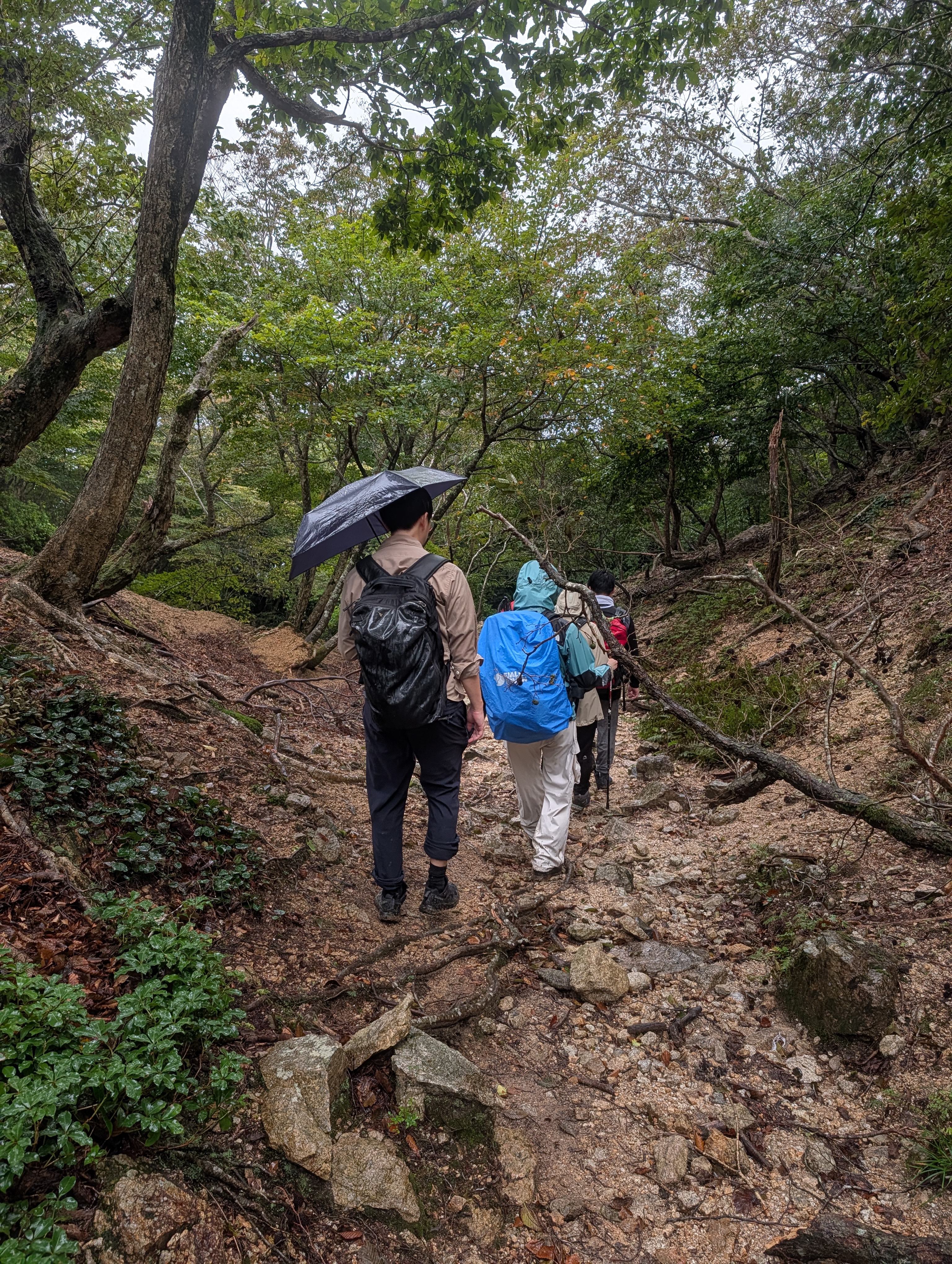下山の様子
